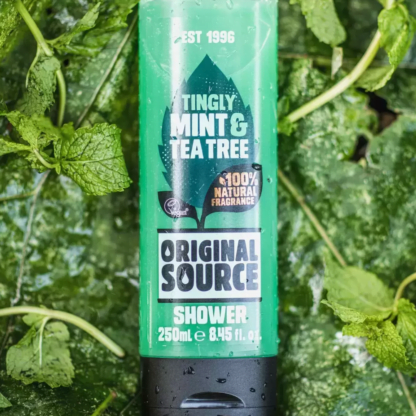 Original Source Mint & Tea Tree Shower Gel 250ml